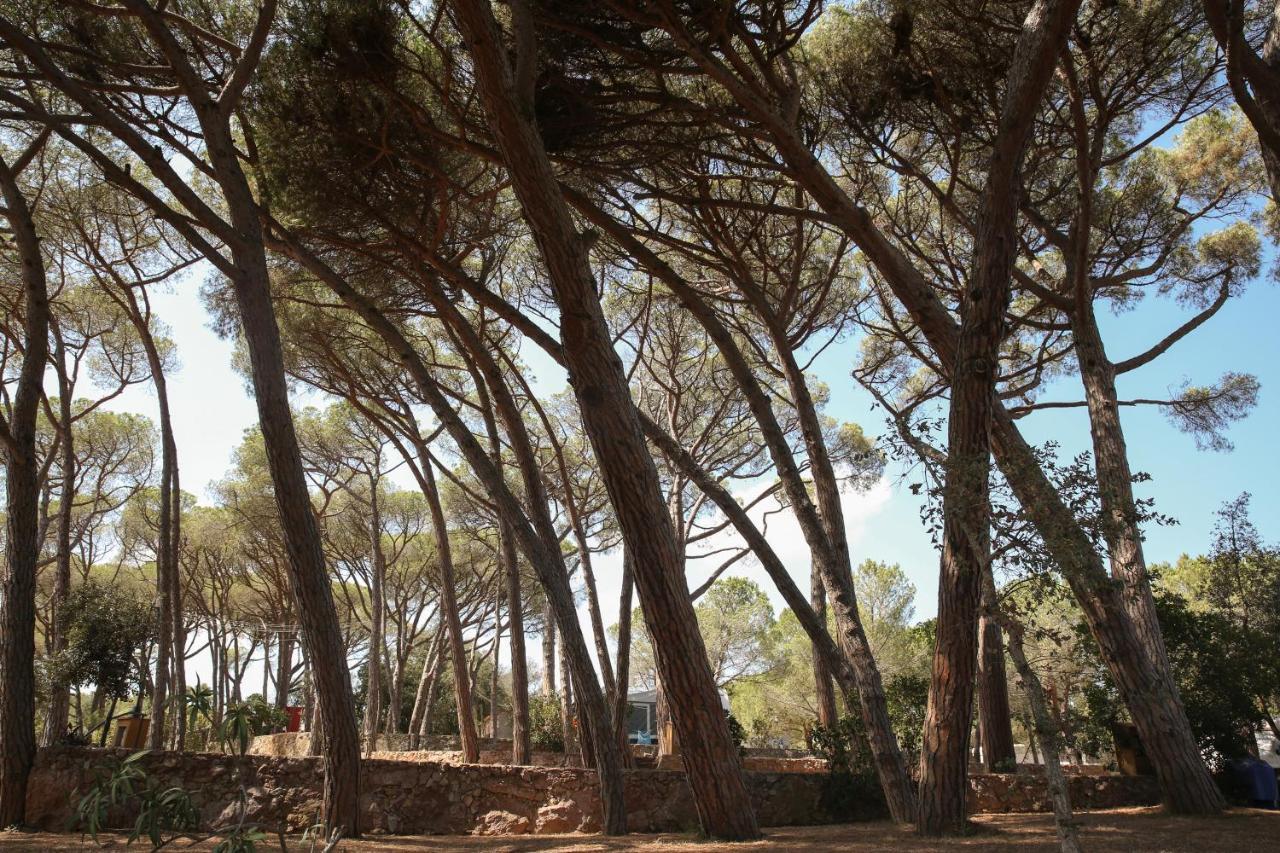 Camping 3 Estrellas Costa Brava Vall-Llobrega Exterior foto